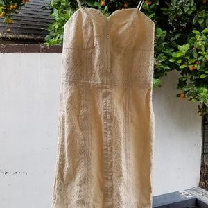 BCBG Generation Lace Strapless Dress